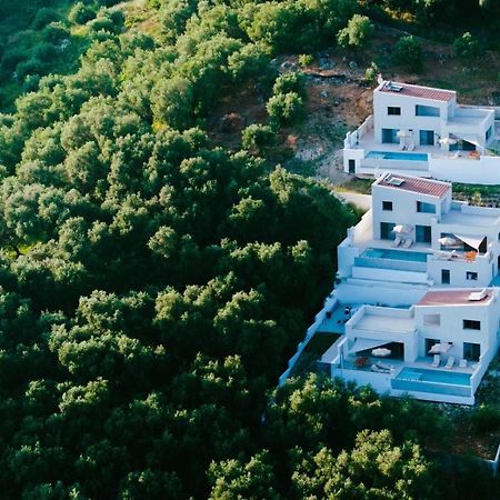 Merelia Exclusive Villas Parga Buitenkant foto